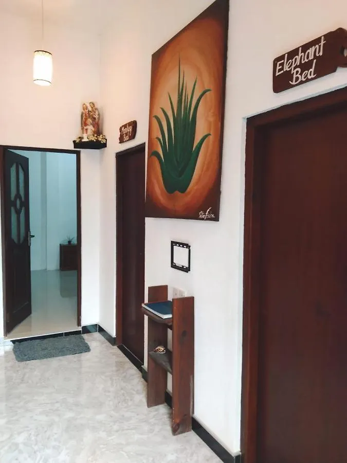 Affittacamere Aloevera Villa Negombo Sri Lanka