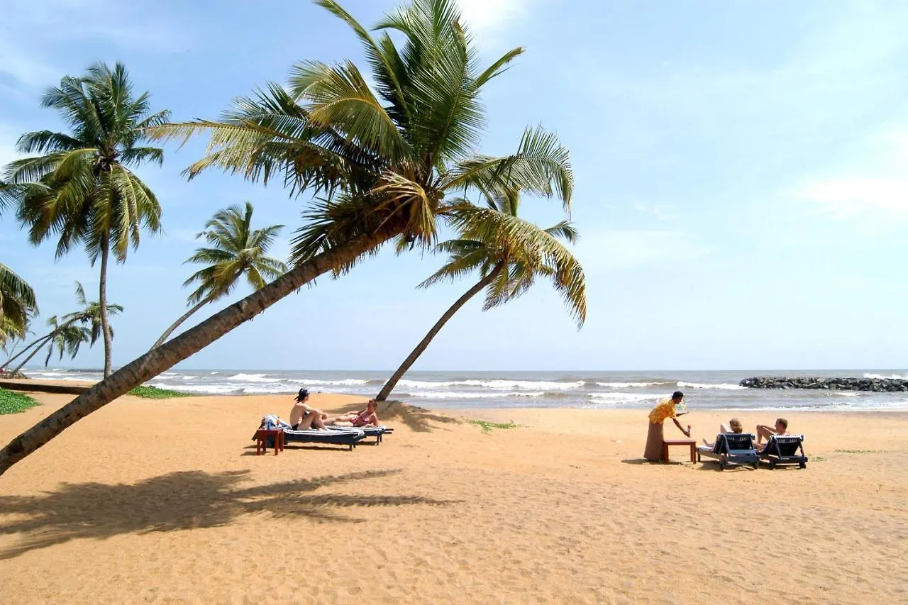 Affittacamere Aloevera Villa Negombo Sri Lanka