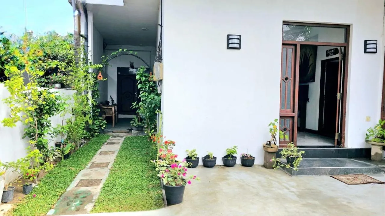 Aloevera Villa نيجومبو سريلانكا