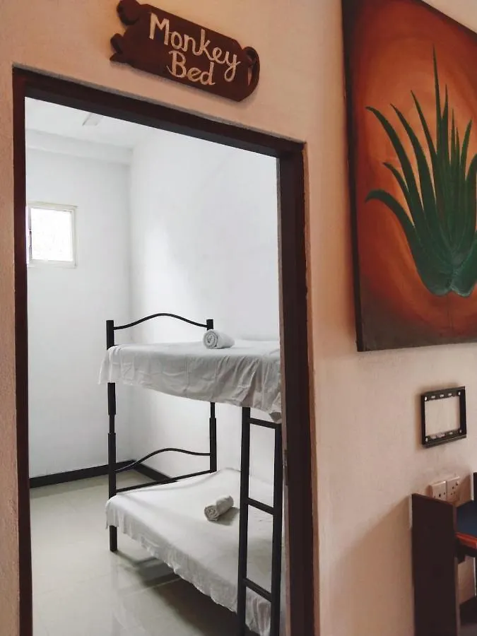 Aloevera Villa نيجومبو بيت ضيافة